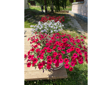 ���� �������, � ���� �������