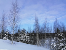 IMG 20210207 104748.jpg