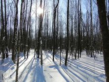 IMG 20210223 125548.jpg