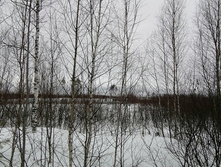 IMG 20210320 113742.jpg