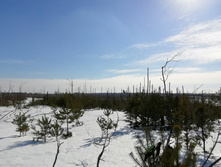 IMG 20210321 102044.jpg