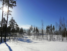 IMG 20210328 084259.jpg