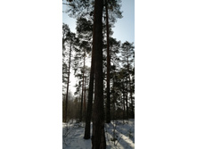 IMG 20210306 114256.jpg