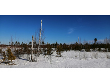 IMG 20210328 090829.jpg