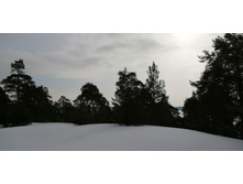 IMG 20210306 110757.jpg