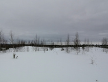 IMG 20210320 115926.jpg