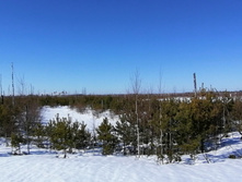 IMG 20210328 093200.jpg