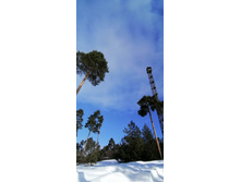 IMG 20210306 105255.jpg