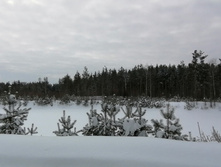 IMG 20210228 112710.jpg