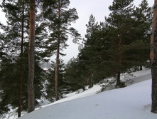 IMG 20210306 111947.jpg