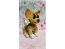 IMG 20200115 225249.jpg