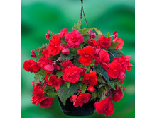 34 ������� ������� ��� �����.jpg