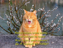 ������������ ����� �����! ���� ������� �� �����! ���� ������ ���� �������! ��, � �������! �� �����!