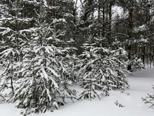 IMG 20210228 113433.jpg