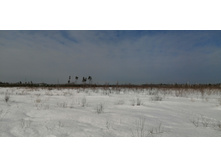 IMG 20210321 095917.jpg