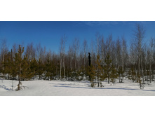 IMG 20210321 103236.jpg