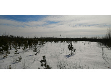 IMG 20210321 100401.jpg