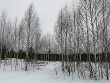 IMG 20210314 125910.jpg