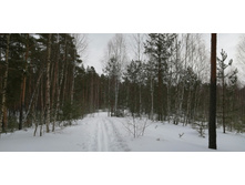 IMG 20210314 113645.jpg