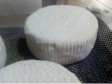 11 ���� ����������