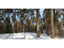 IMG 20210306 114056.jpg