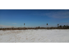 IMG 20210321 094927.jpg