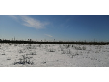 IMG 20210328 092608.jpg