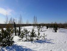 IMG 20210328 092018.jpg