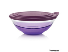 ���� «������������» (1,5 �) 1300 ���