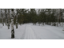 IMG 20210314 115341.jpg