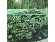 ����� �� ����  5 .jpg