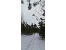 IMG 20210314 113956.jpg