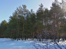 IMG 20210327 095256.jpg