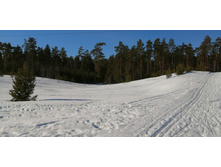 IMG 20210327 090426.jpg