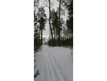 IMG 20210314 111105.jpg