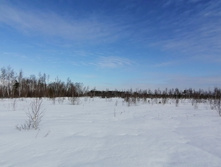 IMG 20210321 093306.jpg