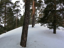 IMG 20210306 112141.jpg