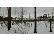 IMG 20210320 111723.jpg