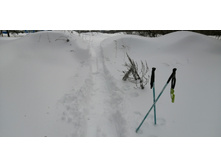 IMG 20210228 121512.jpg