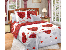 ���������� ����� «������ ������ 1», ����