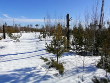 IMG 20210328 093526.jpg