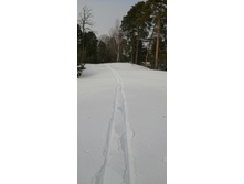 IMG 20210306 111015.jpg