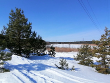 IMG 20210327 094014.jpg