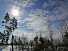 IMG 20210321 105215.jpg