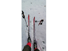 IMG 20210306 110326.jpg