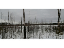 IMG 20210320 123459.jpg