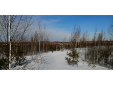 IMG 20210321 095531.jpg