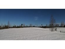 IMG 20210328 091214.jpg