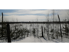 IMG 20210321 101219.jpg