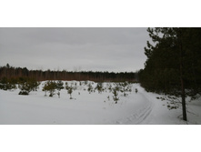 IMG 20210320 130927.jpg